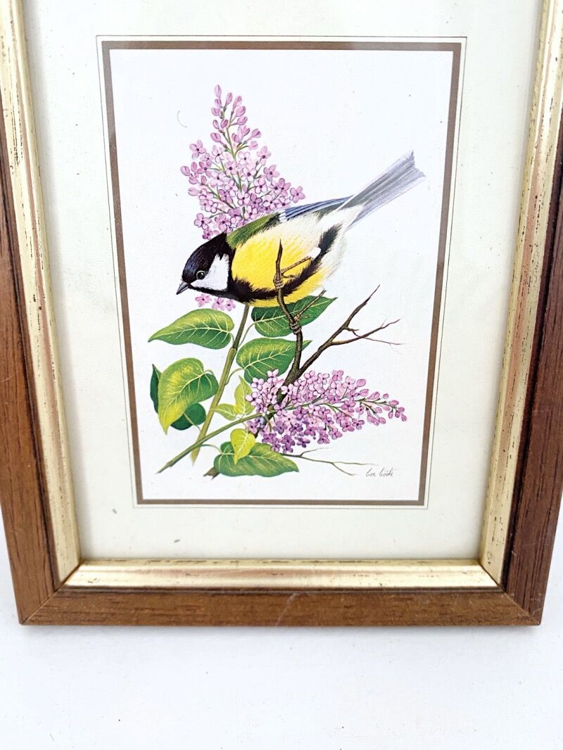 Set of three ornithological frames