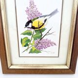 Set of three ornithological frames