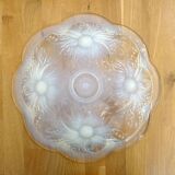 Plat coupe opalescente