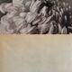 Flower - Collage original