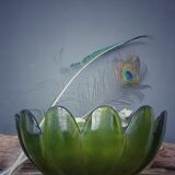Salad bowl