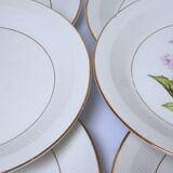 6 assiettes plates Gien Chevreuse