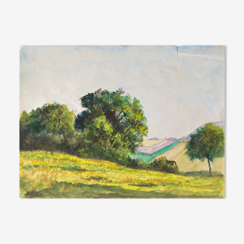 Tableau aquarelle "Plaine vallonnée et arborée" école du XX° siècle