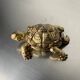 Regency turtle ashtray in brass, Spain, 1980s