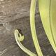 Porte-revues vintage en fer forgé, fleurs peintes à la main