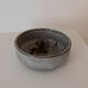 Puisaye sandstone cup