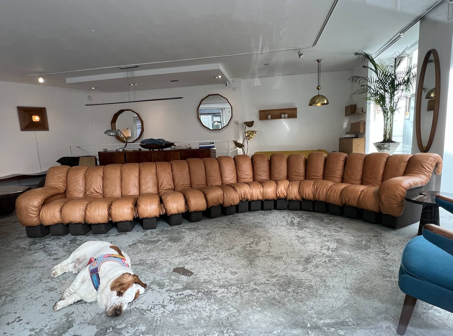 Sofa DS-600 de, Ueli Berger, Eleonore Peduzzi-Riva, Heinz Ulrich, Klaus Vogt for De Sede 1972