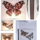 90s fabric butterfly suspension
