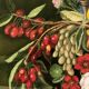 Large pastel signed Annie Faure, still life with flowers and fruits