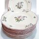 Set of 13 plates Gien earthenware 25cm