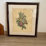 Reproduction botanical work Flowers