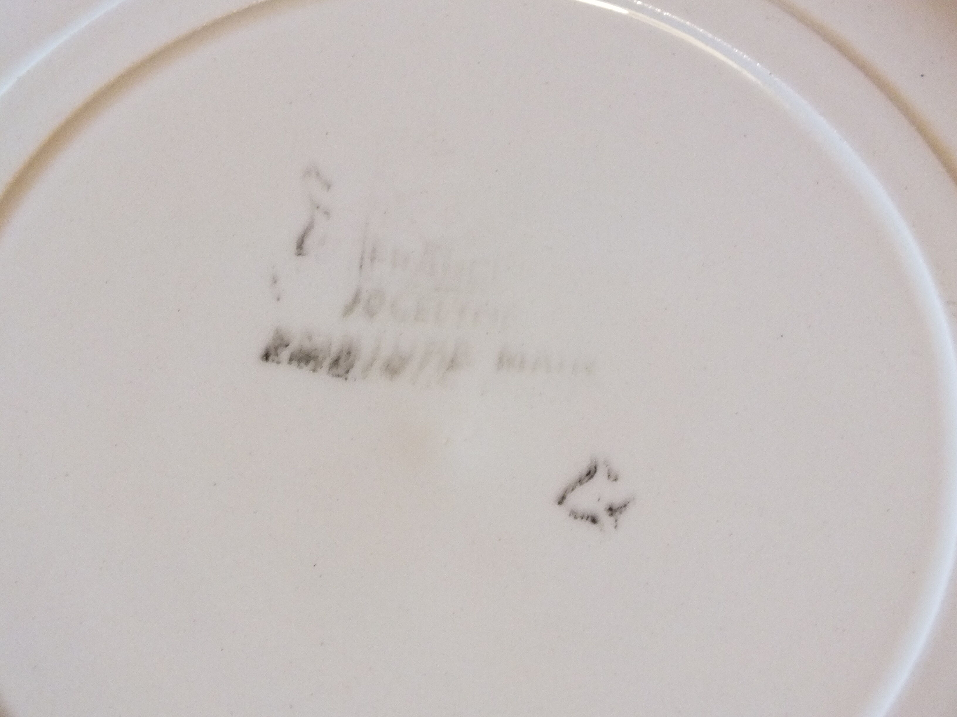 6 flat plates from the 50s Salins model Jocelyne