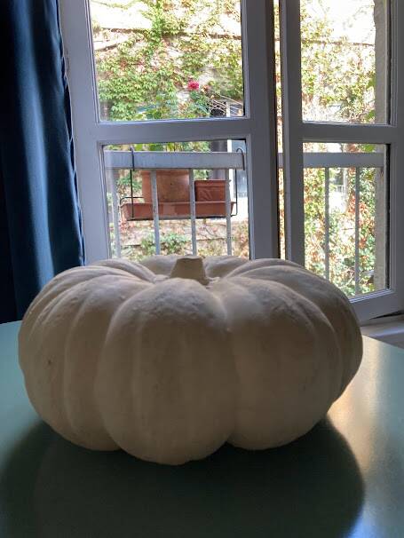 Citrouille décorative