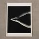 Group of eight black and white photographs by Nicoletta Giordano, Italy.