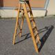 Montana France painter's stepladder