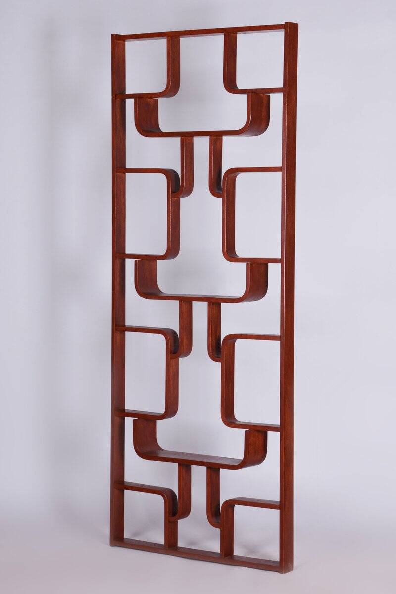 Midcentury Modern Divider by Ludvik Volak, 1960s