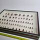 Collection d'entomologiste 67 variétés d'hyménoptères