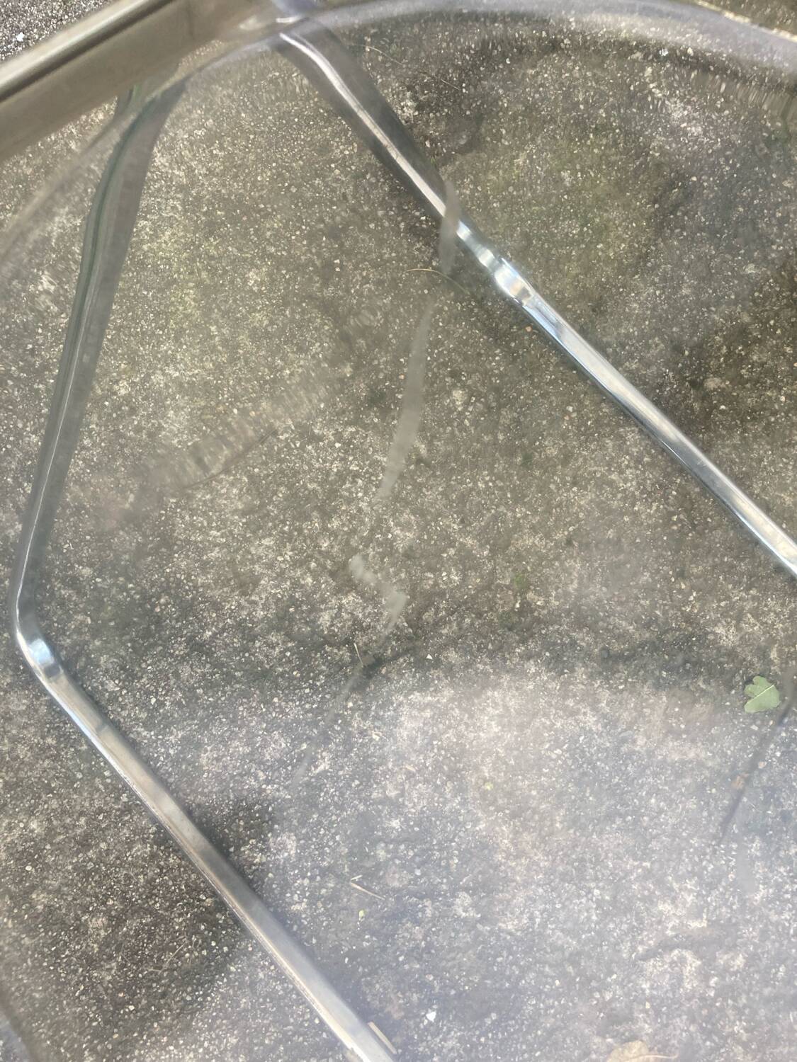 Piretti Plia Chair