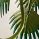 Tropical chandelier in sheet metal 1970.