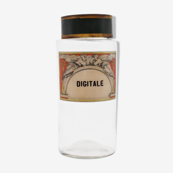 Ancient  apothecary bottle