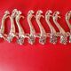 Set of 8 silver metal knife holders. Lion shape.