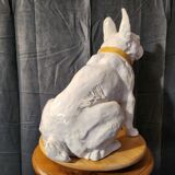 Bouledogue français en céramique manufacture de bavent 1900 france.