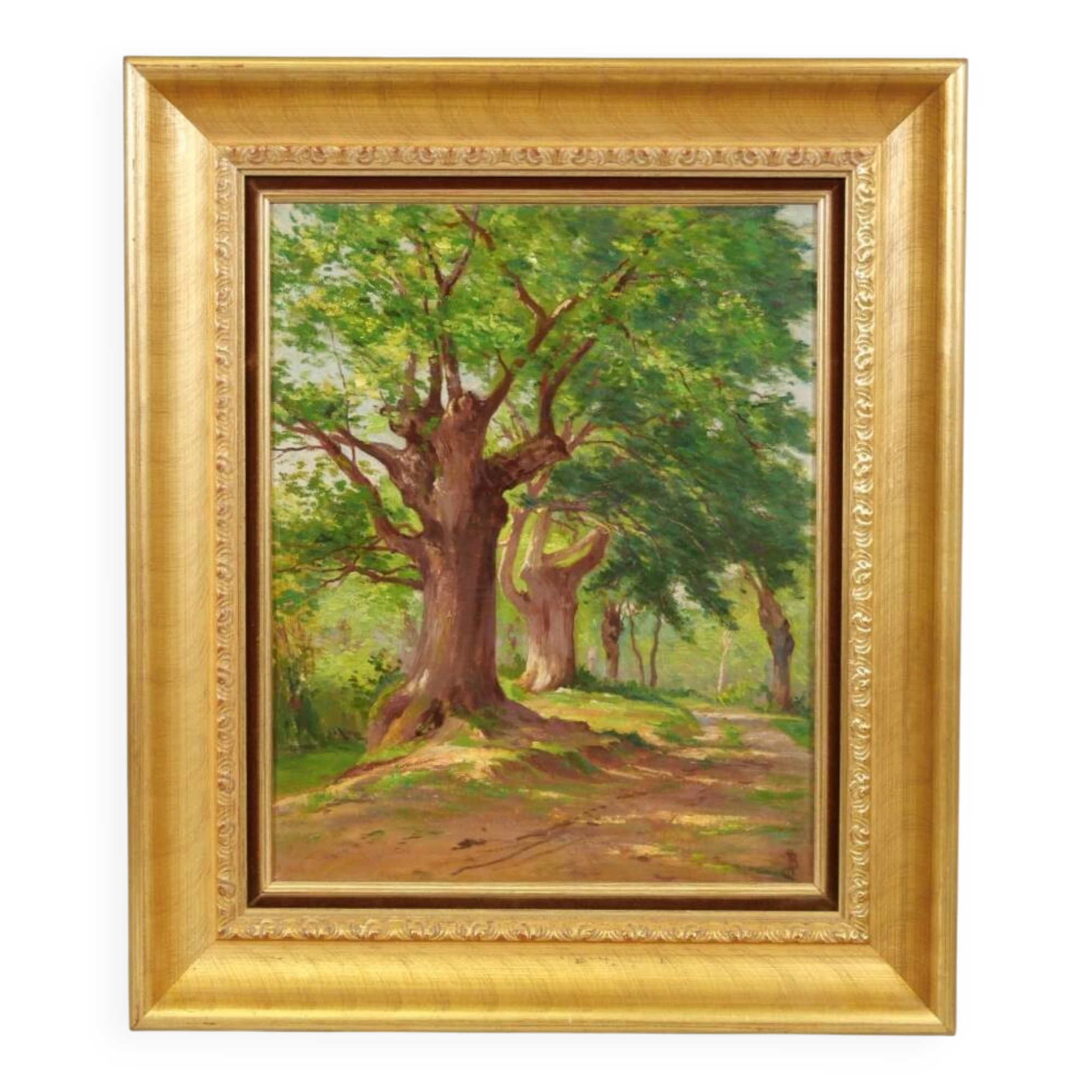 Table the undergrowth school of the 20th century.