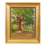 Table the undergrowth school of the 20th century.