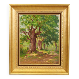 Table the undergrowth school of the 20th century.