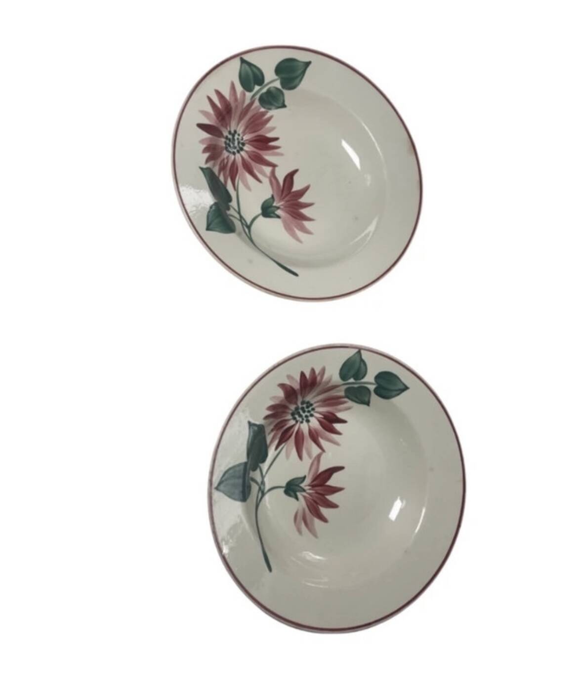 Floral deep plates hbcm