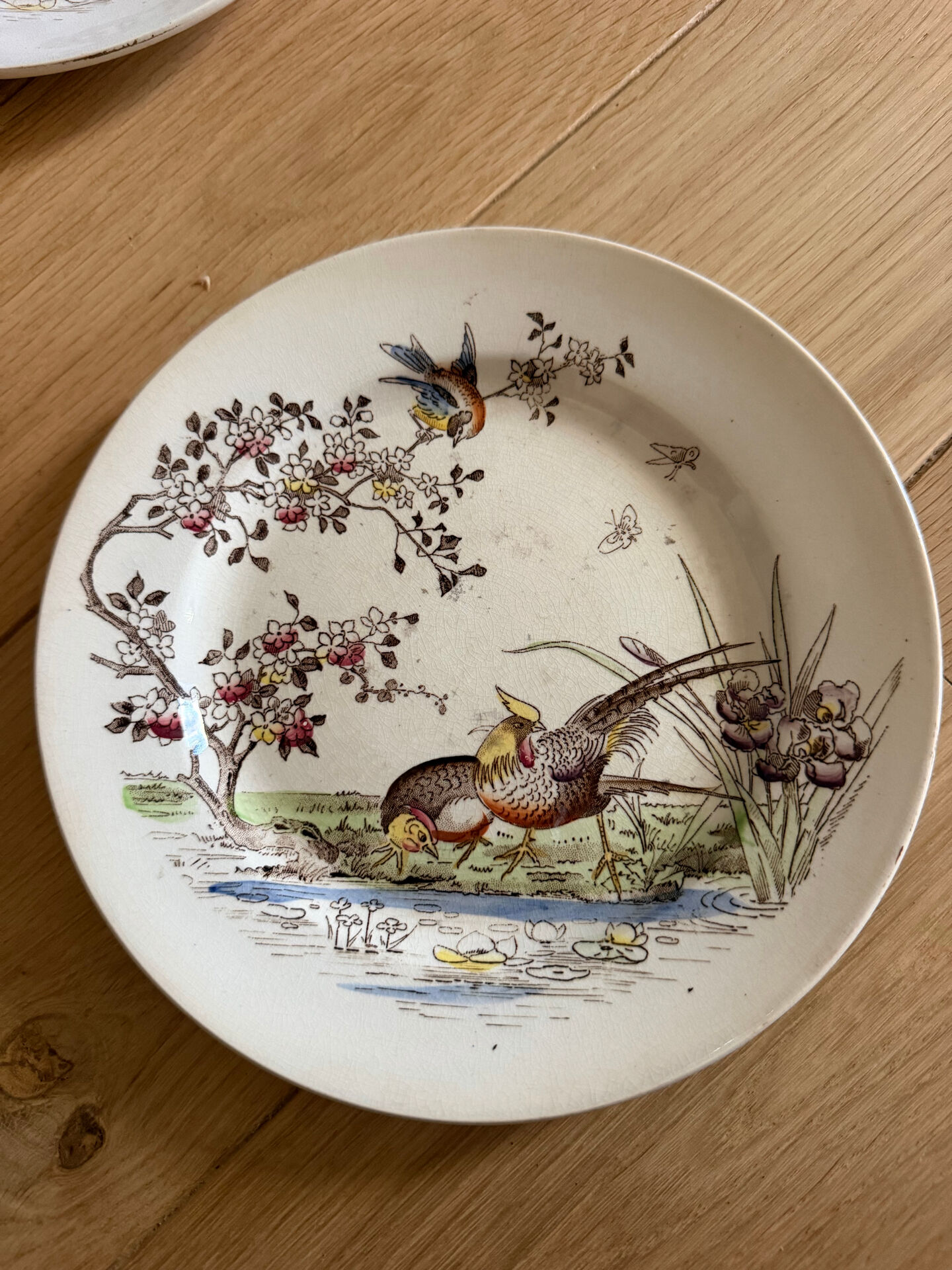 Polychrome ironstone dessert plates from Digoin and Sarreguemines.