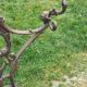 Cast iron cloakroom 1900 Corneau in Charleville