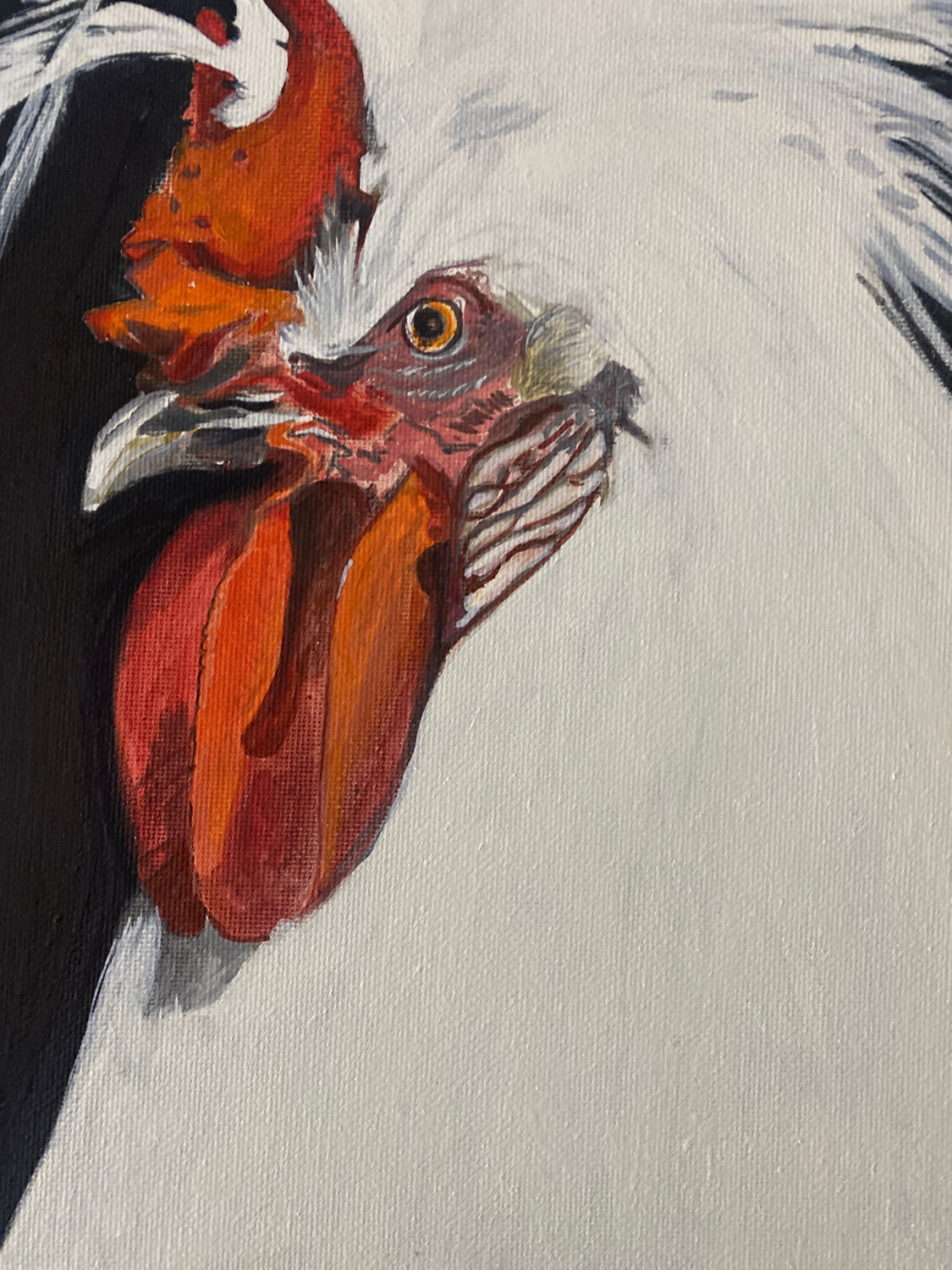 Coq - contemporary oil painting on canvas