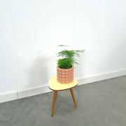 Table à plantes jaune avec pieds en bois 1950, table d'appoint