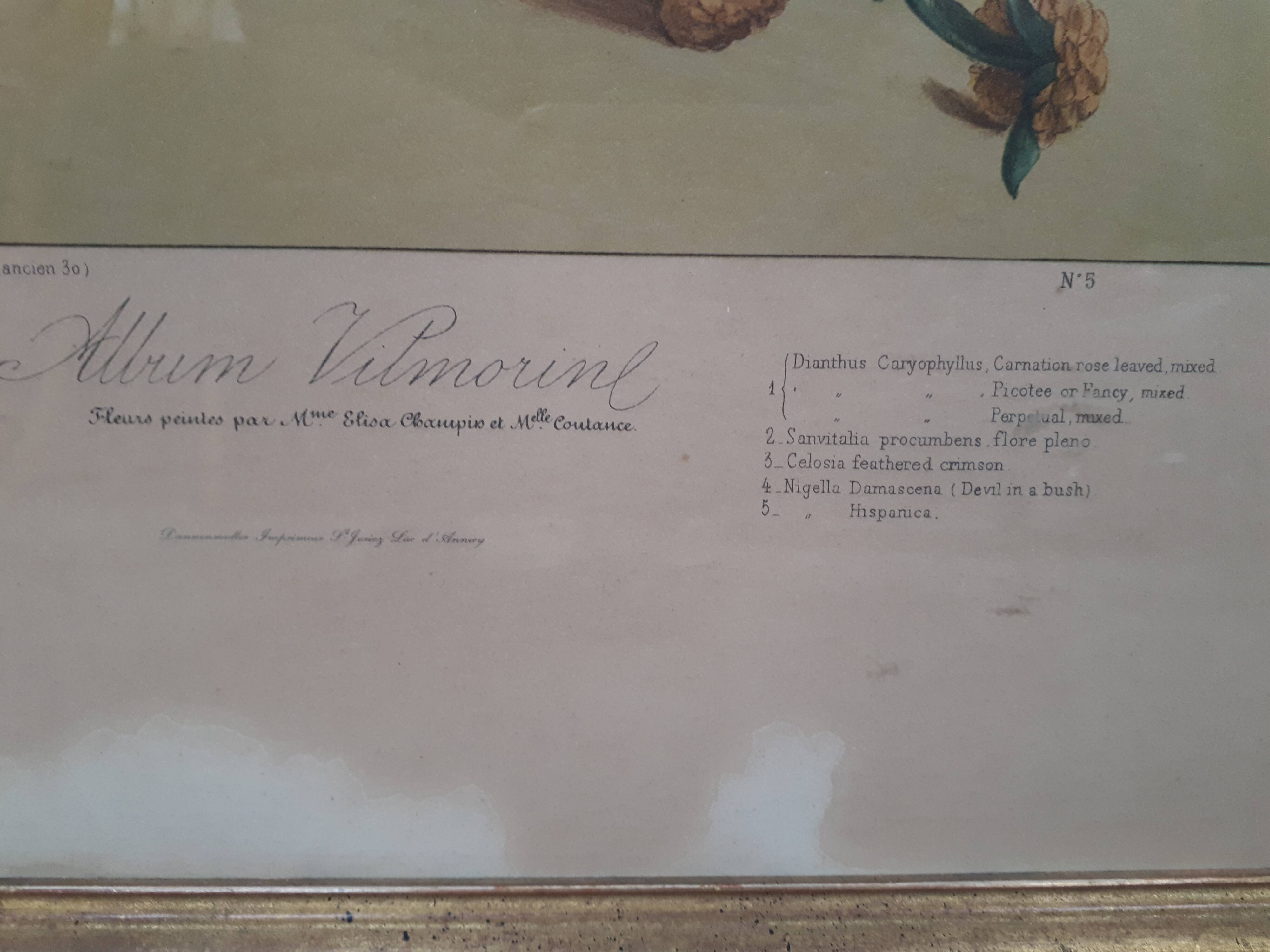 Poster ancient botanical flowers