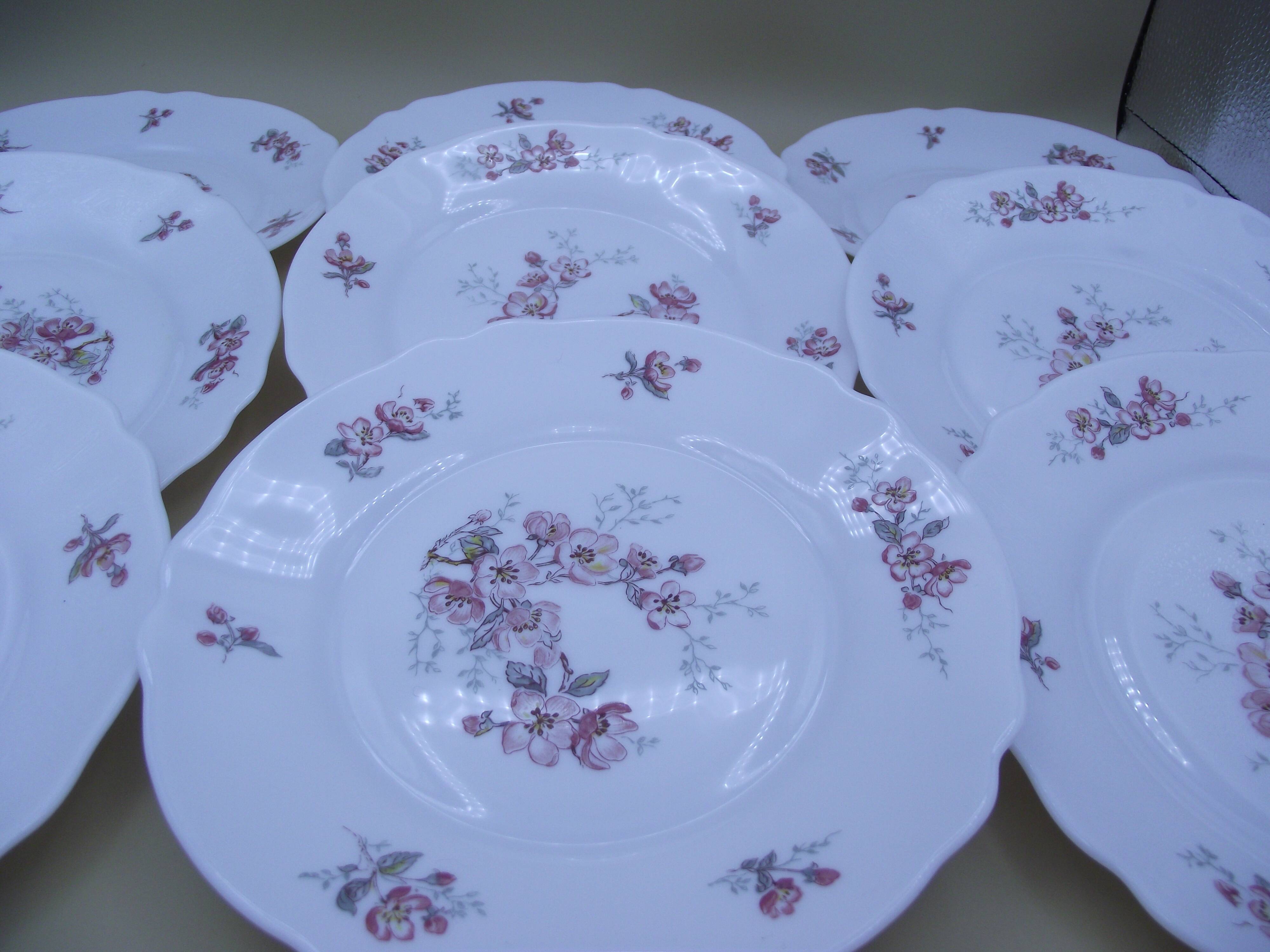 Lot of 9 dessert plates Arcopal France