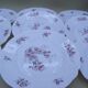 Lot of 9 dessert plates Arcopal France