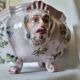 Antique 18th century Marseille earthenware planter by Veuve Perr
