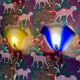 Pair of glass wall lights Scandinavian design 1950.