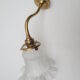 Old gooseneck wall lamp and frosted white glass tulip