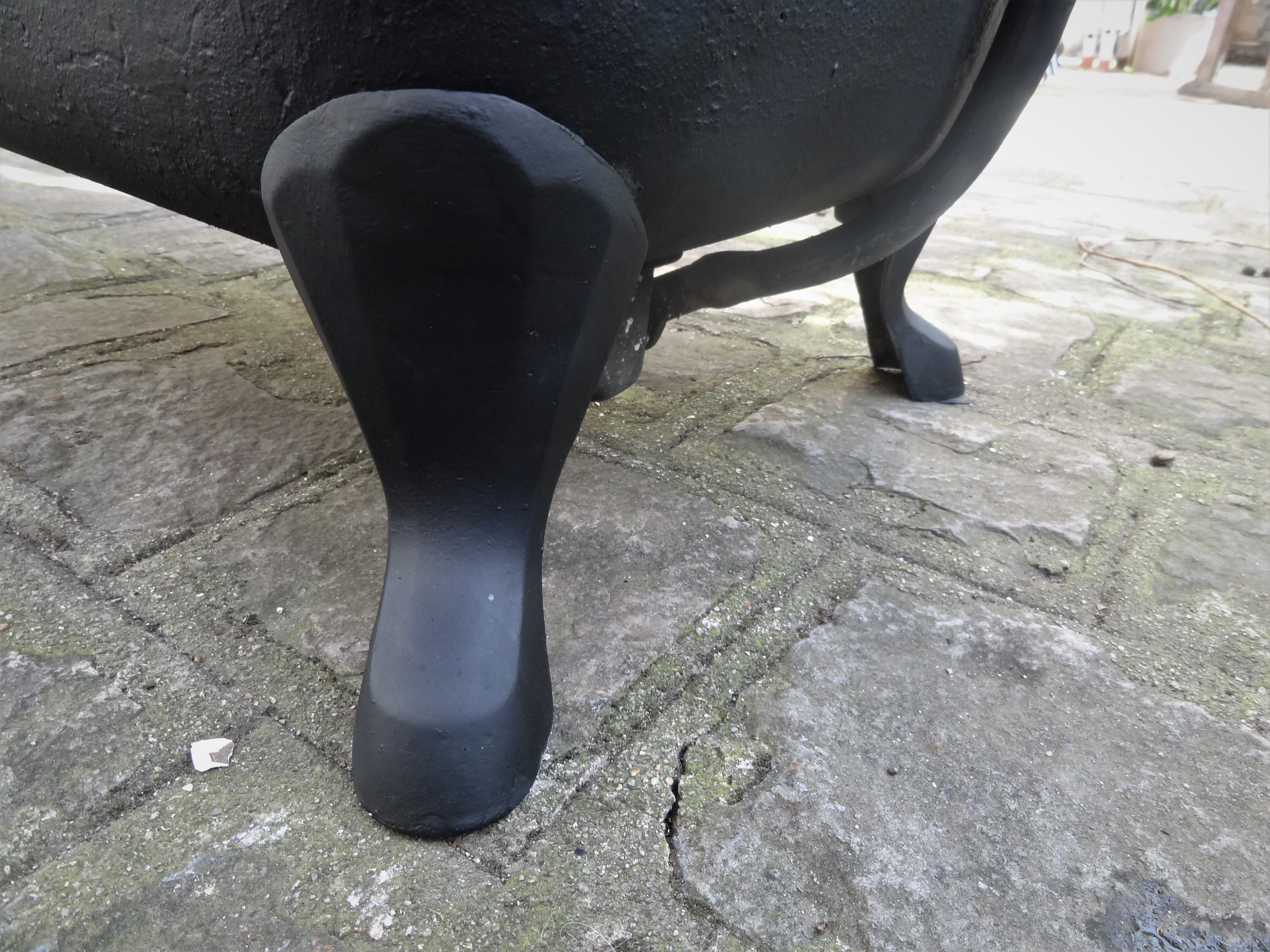 Cast iron hoof bathtub