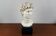 Large vintage bust "David" by Michelangelo
