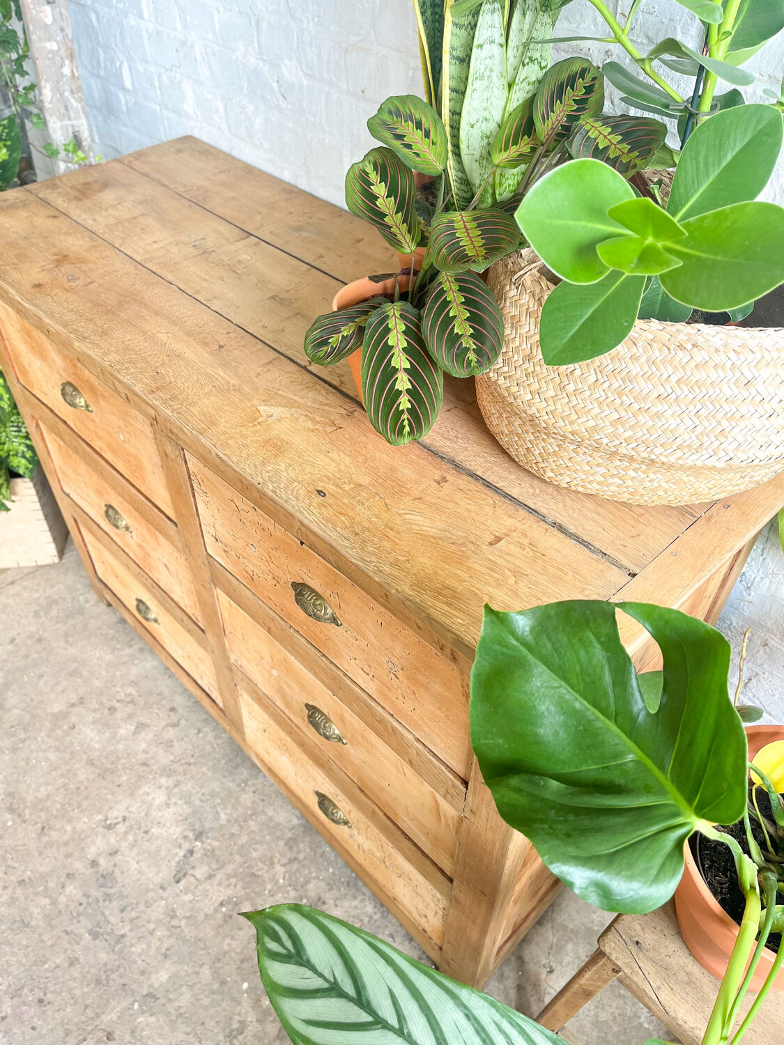 Old haberdashery furniture