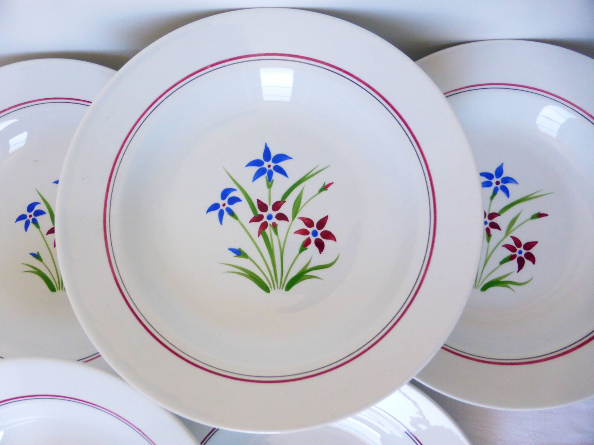 6 assiettes creuses des Salins modèle Lily
