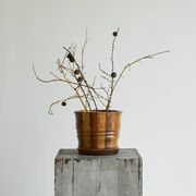 Striped vase in solid wood, 19th century