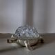 Pique-fleurs en verre de Reims 19 trous socle en métal argenté forme tortue