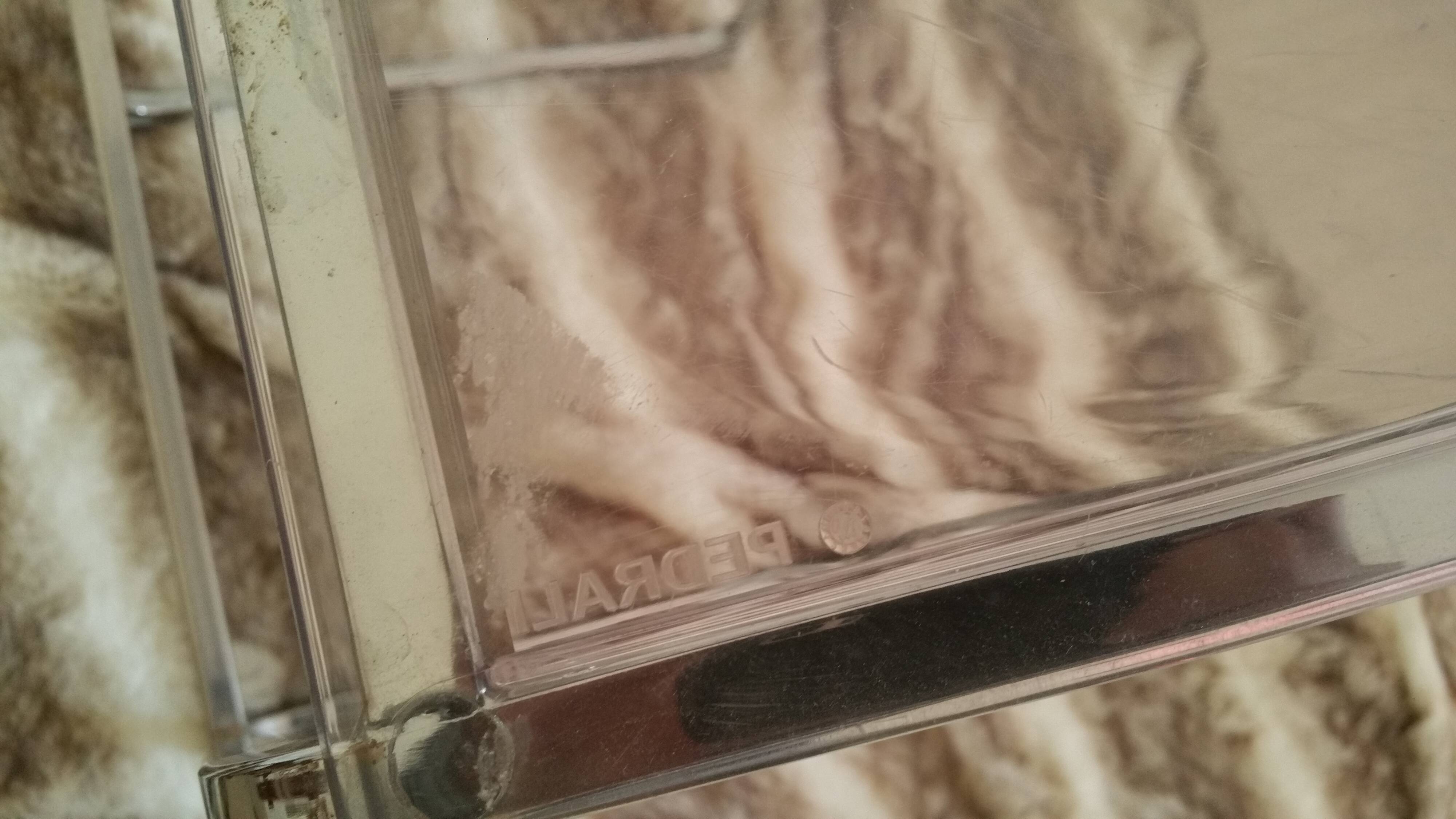 Tabouret Pedrali Arod 500