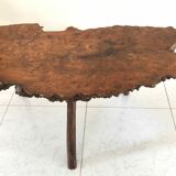 Brutalist coffee table in elm magnifying glass