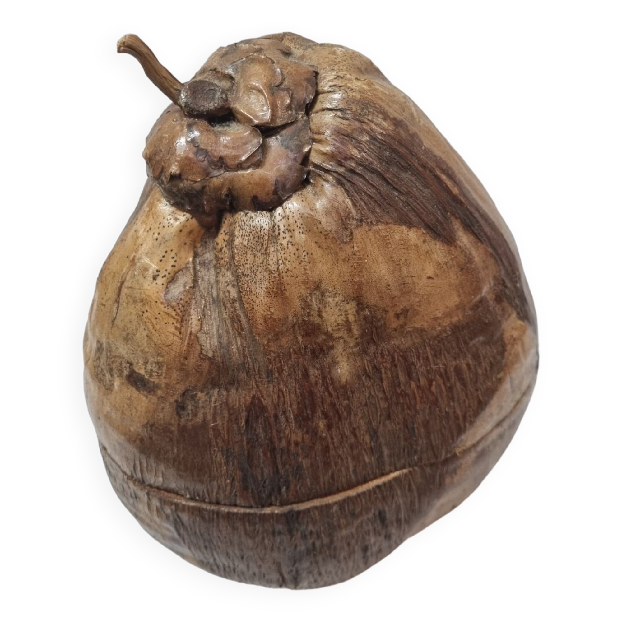 Ice bucket, stuffed coconut