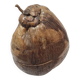 Ice bucket, stuffed coconut